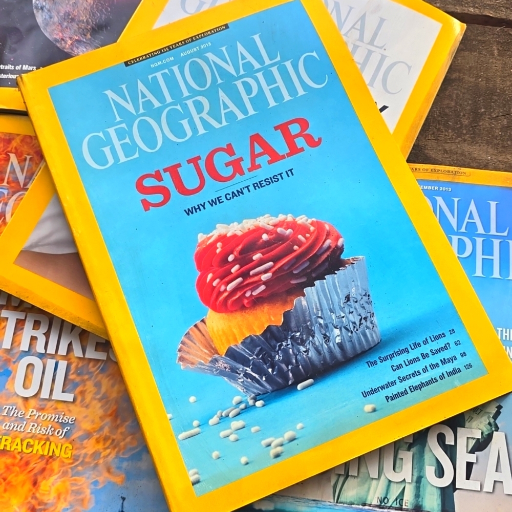 Bundle of National Geographic Magazines 2013 set of 5 Craft Art News JJ